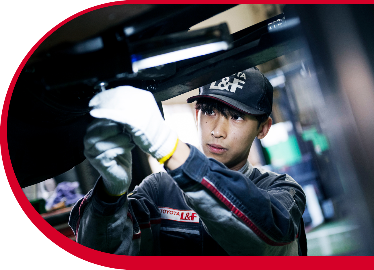 これまでのキャリアと仕事内容